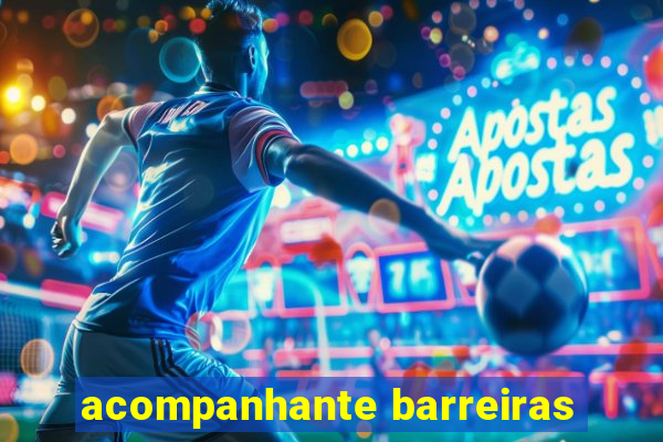 acompanhante barreiras